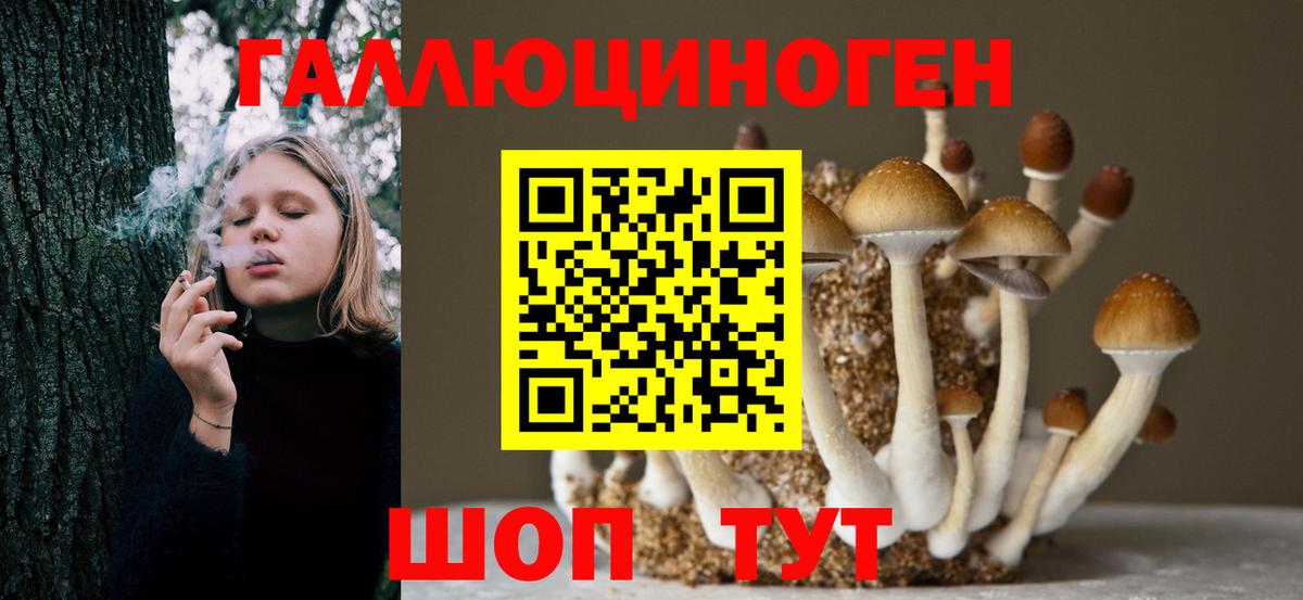 Псилоцибиновые грибы ЛСД Новочеркасск